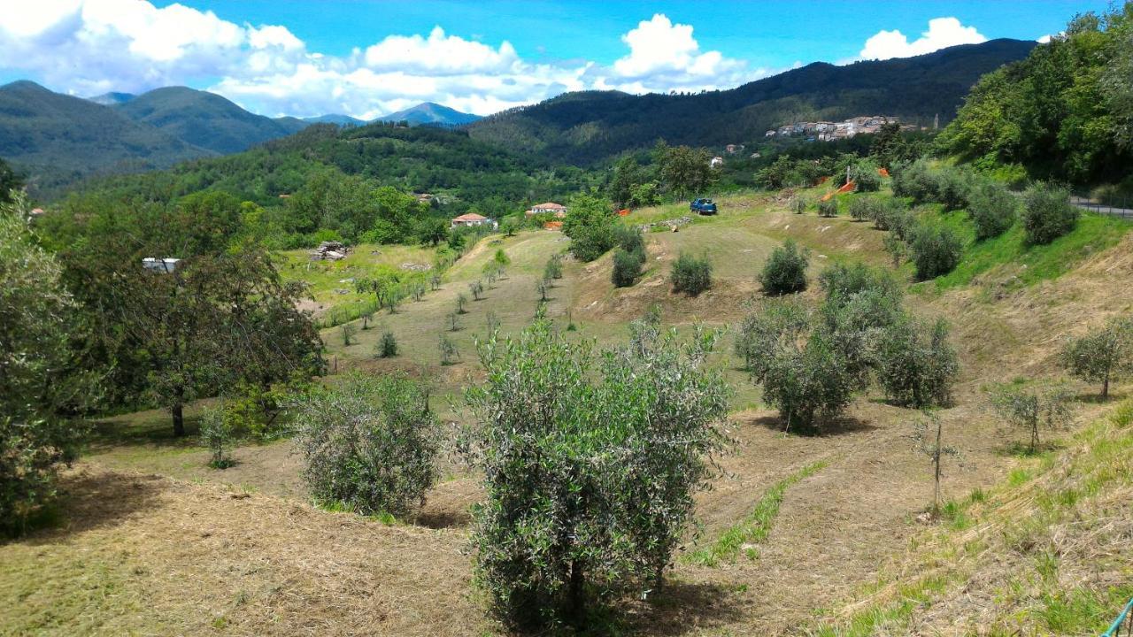 Agriturismo Tenuta Valletti. Sesta Godano Kültér fotó